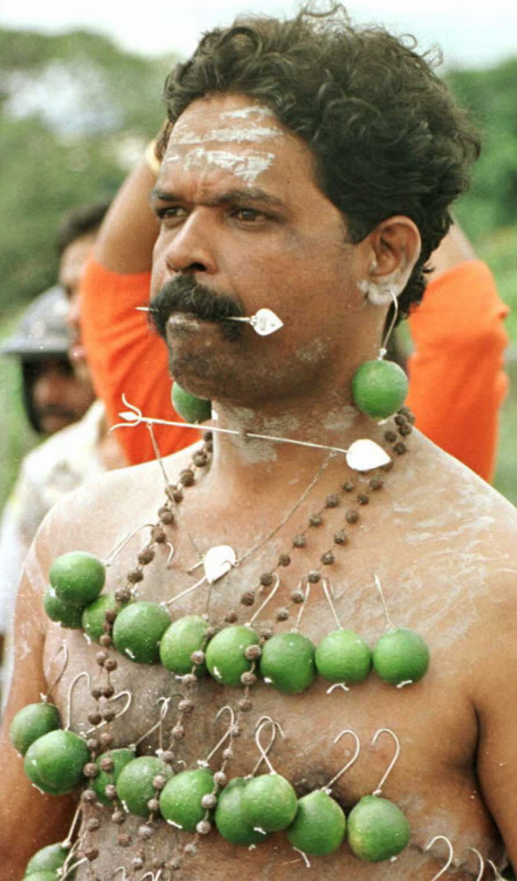 A Hindu devotee, wearing limes attached to his body with hooks, follows the silver chariot which carries a statue of the Hindu deity Lord Murugan on the eve of Thaipusam on February 3, 1996. –AFP pic