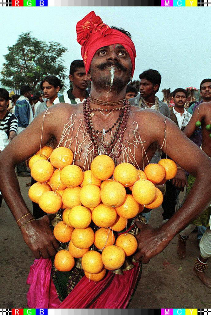 A Hindu devotee bears his chest covered with hooked oranges on February 3, 1996. – AFP pic