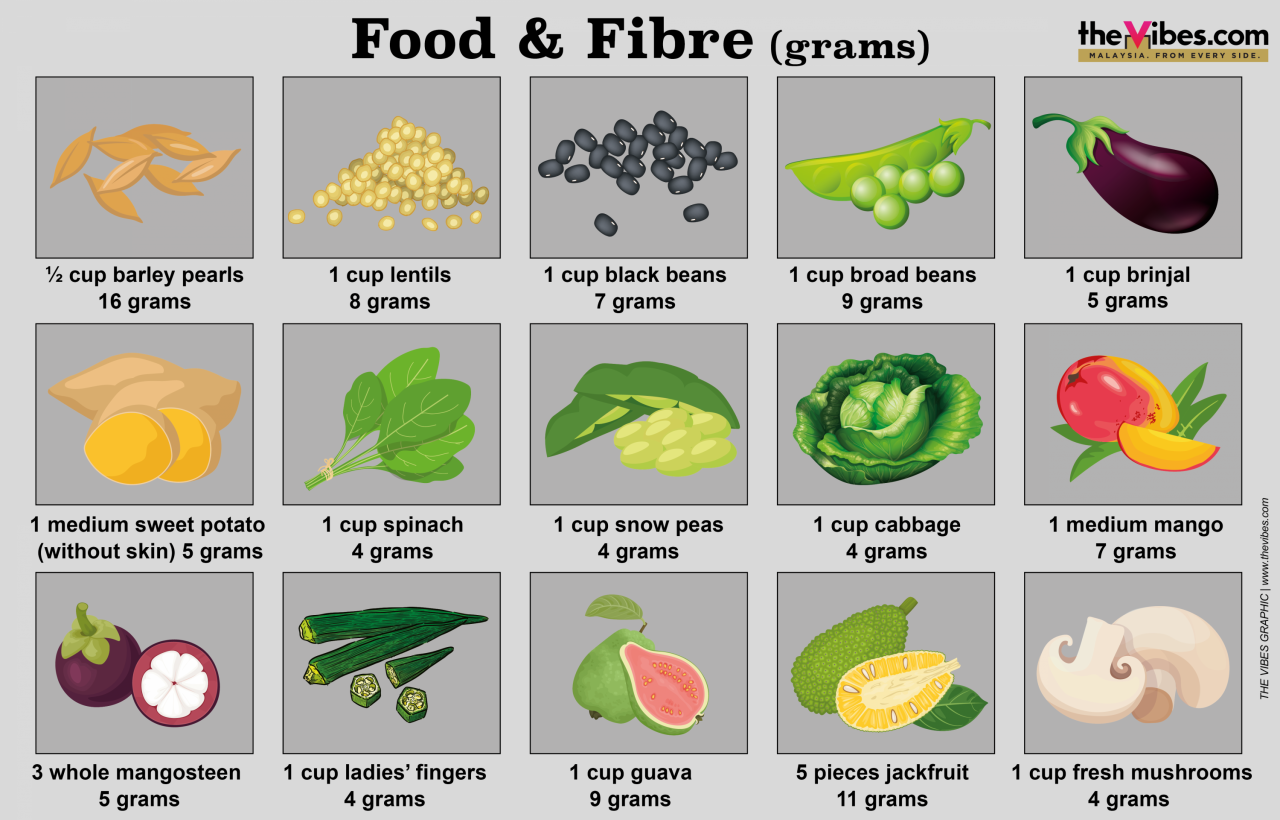 A breakdown of different types of foodstuffs and the amount of fibre they contain. – The Vibes graphic