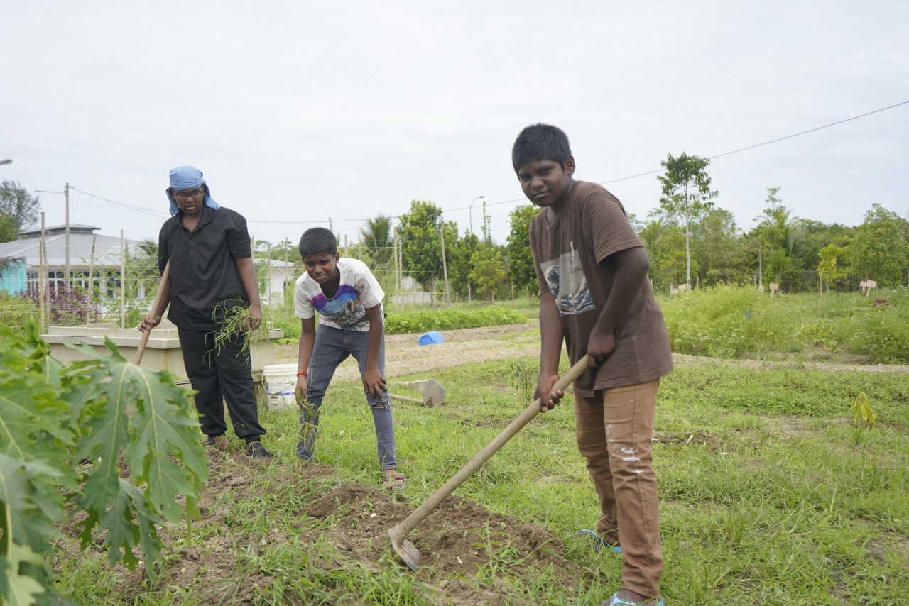 The young boys at the centre are taught that gardening is a noble skill as the final product can be consumed. – Pic courtesy of MySkills