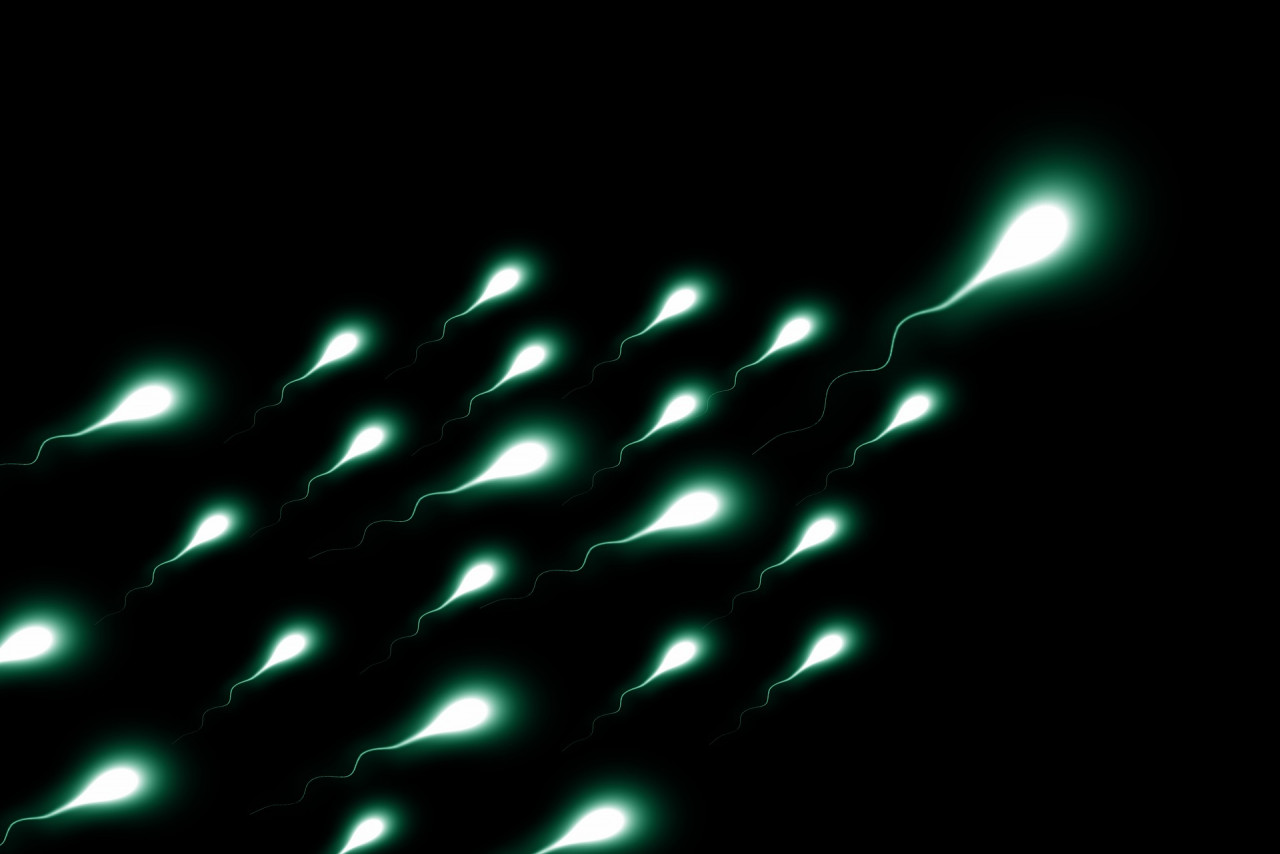 These sperm are going somewhere. A face should not be on the list of destinations. - Pixabay pic
