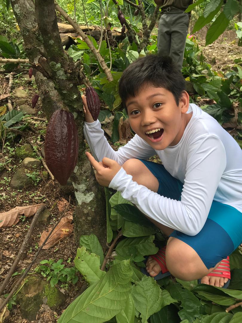  Armand is expert in the entire process of chocolate making, from pod to chocolate bar!. - Pic by Nina Othman