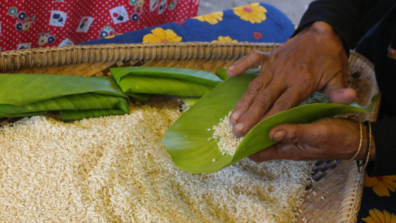 Nasi dalam daun bemban. It is cooked in bamboo later. – Pic courtesy of Syarifah Nadhirah