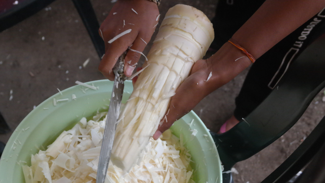 Pucuk rebung being prepared. – Pic courtesy of Syarifah Nadhirah
