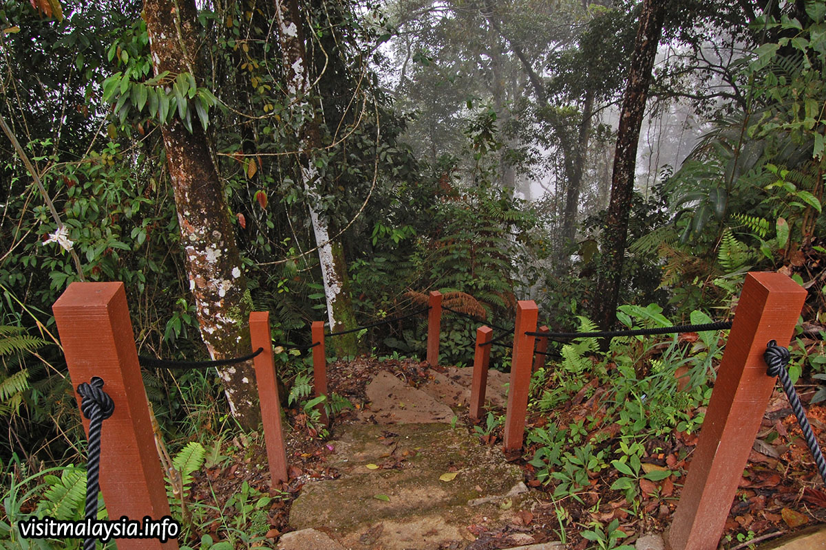 Rompin Steps. The forest complex is a popular stop for migratory birds and is a favourite spot amongst local and international birdwatchers. – Visitmalaysia.info pic