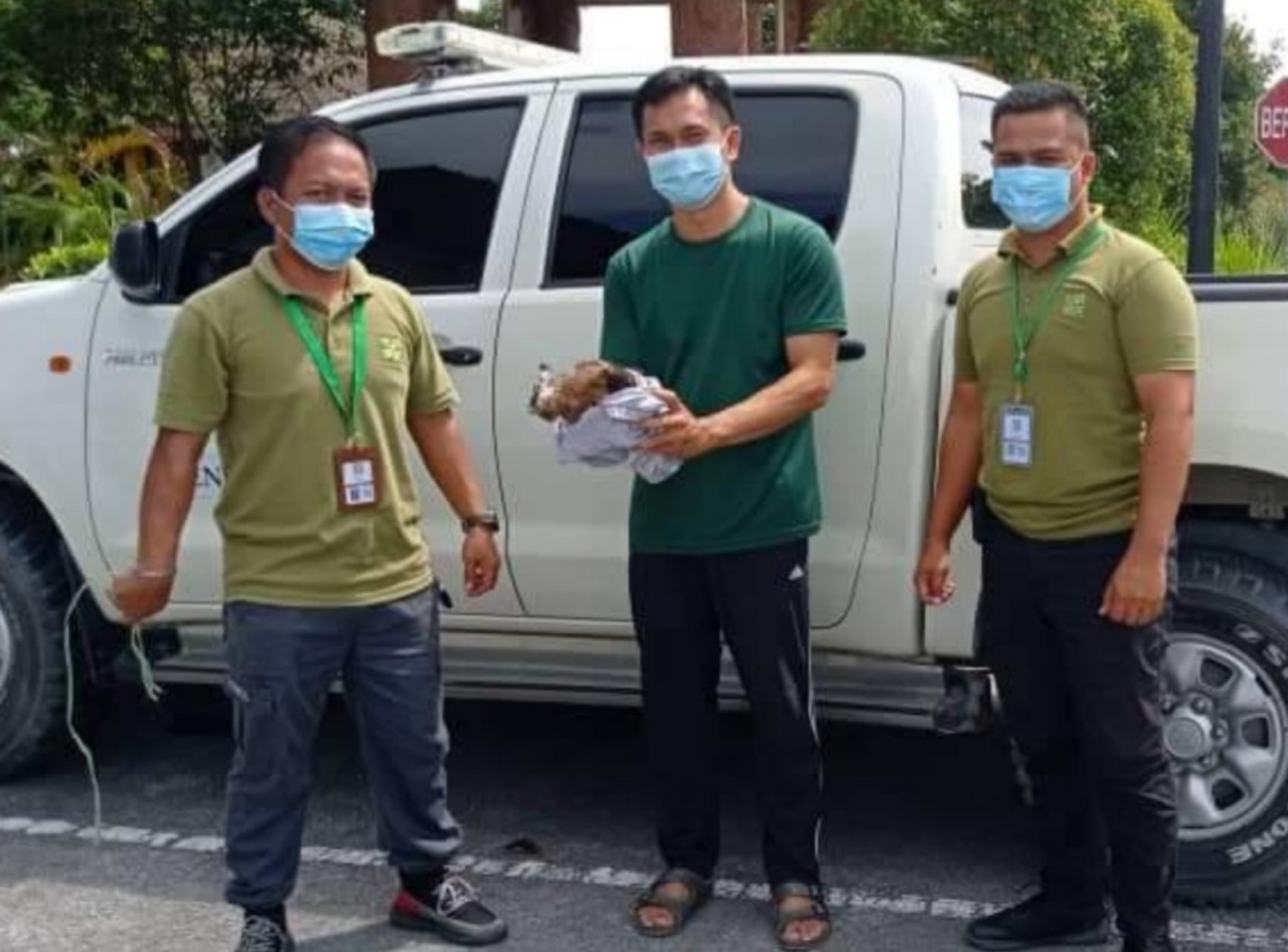 Teacher Zulkipli Abdul Rani of SMK Meradong (C) hands over the wounded eagle to the Sarawak Forestry Corporation for treatment. – Pic courtesy of SFC