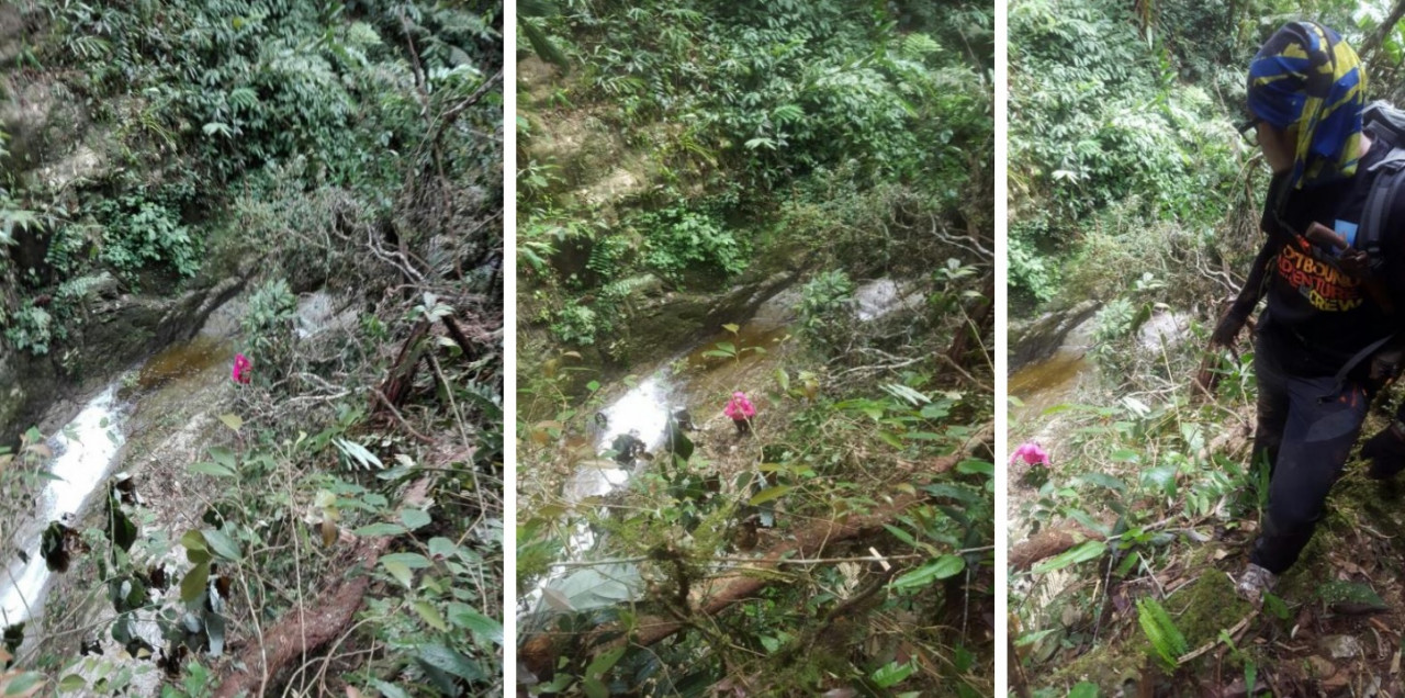 A series of SAR photos when the rescue team found Fatin on the third day since she went missing. She is pictured wearing the hot pink windbreaker in the distance. — Pic courtesy of Norfatin Sulaiman