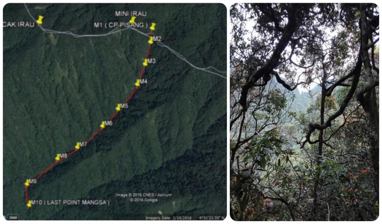 (L) The point where Fatin had fallen 100m down, which led her to spend the next 2 nights alone in the rainforest before the SAR team was able to find her. (R) Fatin had trekked 900m out from the point of her fall. Only after the rescue that she realised she had entered the state of Perak and was no longer within the Pahang border where the popular mossy forest gateway is located. — Pic courtesy of Norfatin Sulaiman
