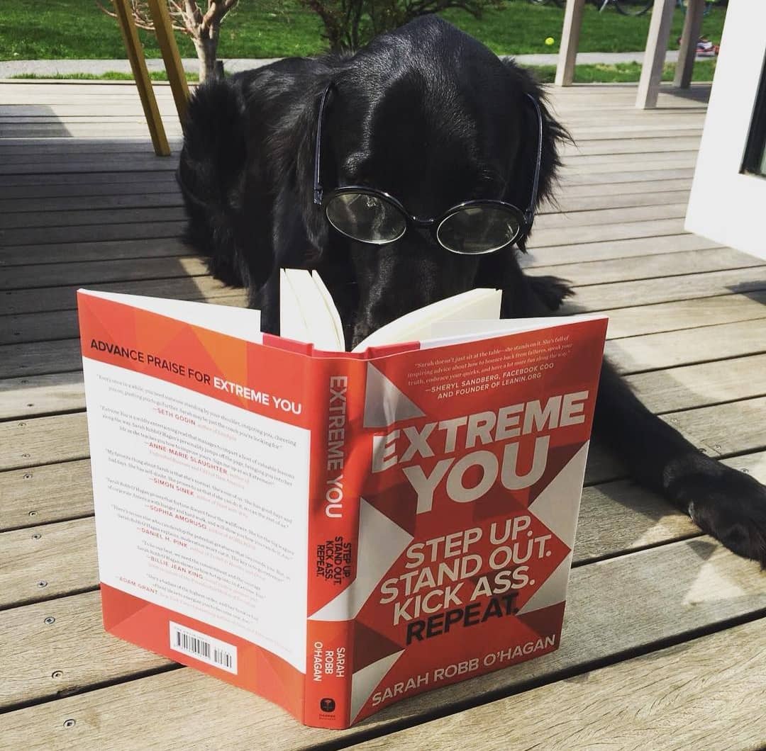 Apparently the advice in the book transcends species. - Pic courtesy of Instagram