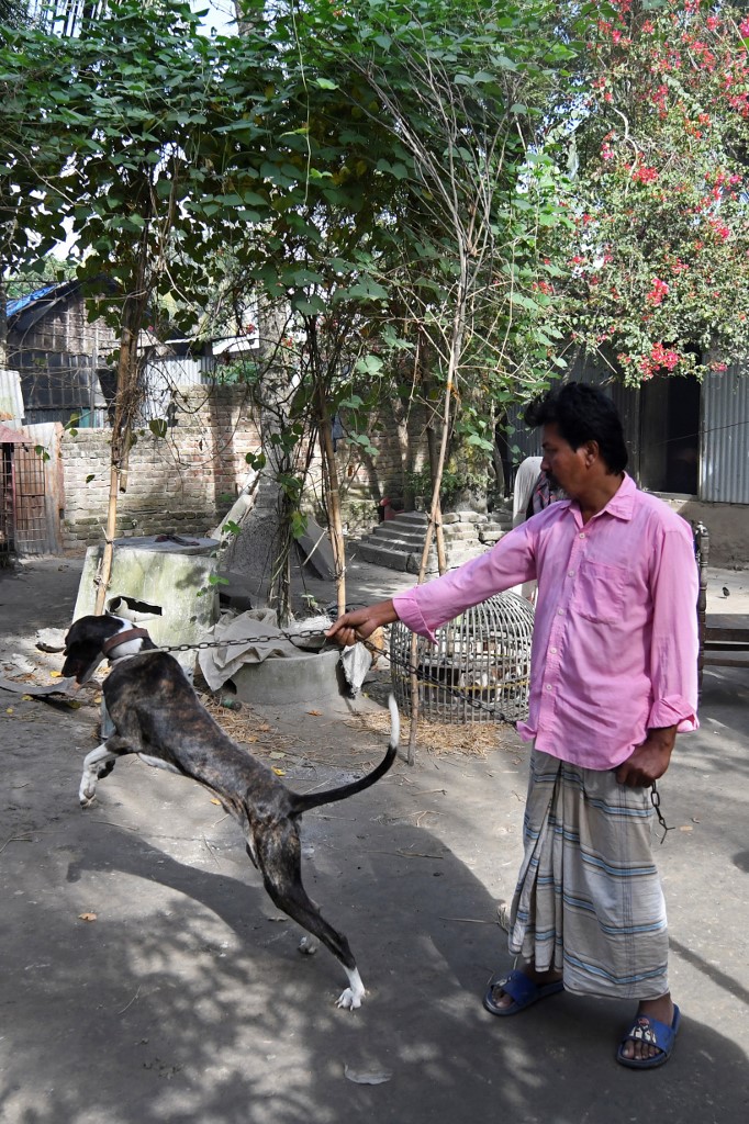 In this picture taken on November 26, 2020, cobbler and Sarail hound breeder Joton Rabidas holds a Sarail hound on a leash at his house in Sarail, Bangladesh. – AFP pic