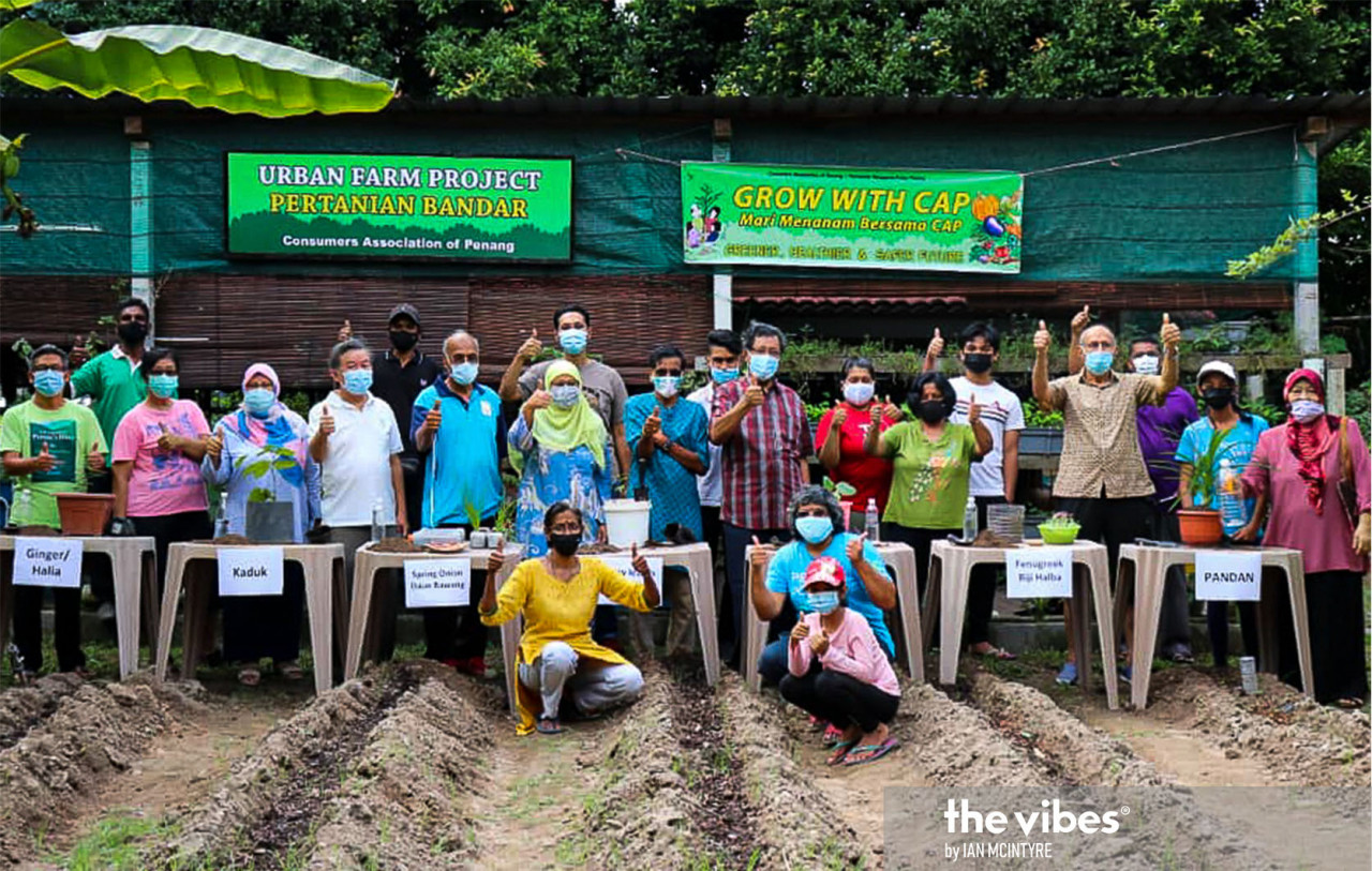 CAP will hold monthly workshops this year for those keen to pick up urban gardening. – IAN MCINTYRE/The Vibes pic, January 3, 2021