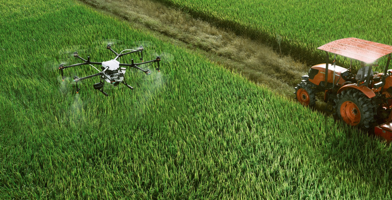 MDEC says the smart farming system, the Kampung Sijangkang farm has been seeing its positive impact, namely a 22% increase in yields and quality of produce, 33% rise in earnings and 30% reduction in the overall farm operational costs- Pixabay pic, December 8, 2020