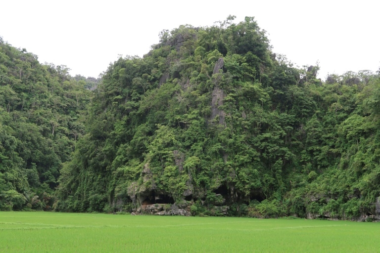 The Leang Tedongnge cave in Sulawesi, Indonesia, where the painting was found. – AFP, January 14, 2021
