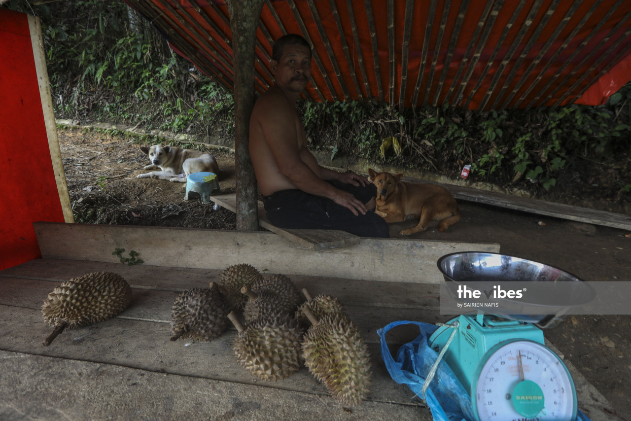 A durian seller waiting for the customer in Bukit Kokol near Tuaran as campaigning for Sabah polls kicks off. – SAIRIEN NAFIS/The Vibes, September 19, 2020