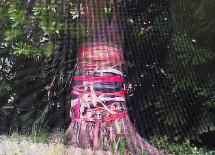 Colourful cloths in tied to a tree at the entrance of the Sabah museum, the site of the Sembulan folks ancient burial ground. The knots symbolise wishes and prayers. – Archive pic, December 5, 2020