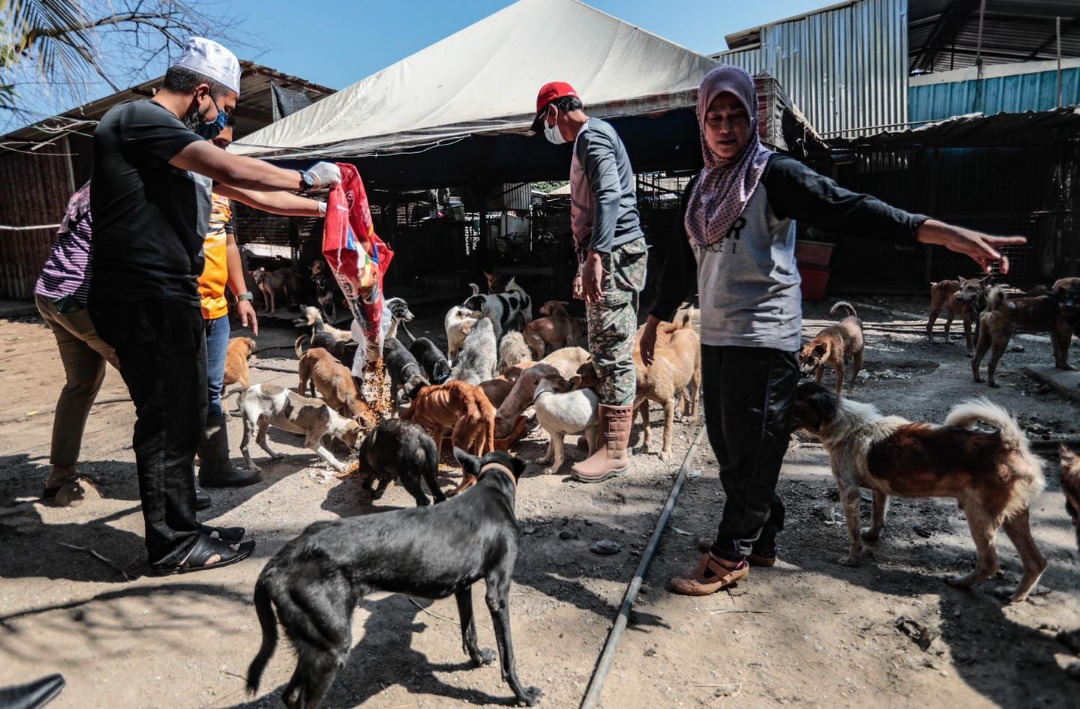 Ebit Lew says that Halijah Idris’ children are to continue the struggle of providing a home for stray dogs and cats. – Ebit Lew Facebook pic, February 18, 2021