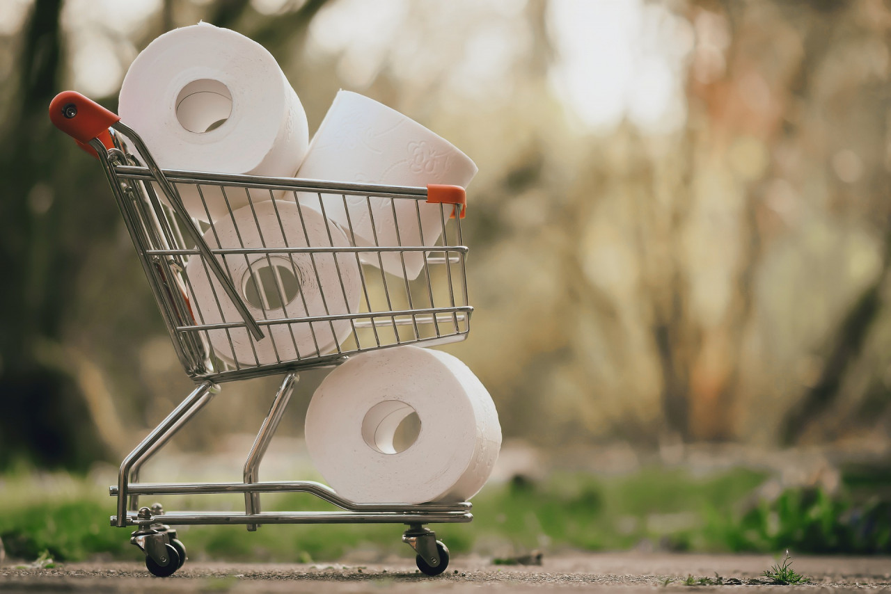 Cotonelle, one of the largest producers of toilet paper, has created a #ShareASquare campaign with the aim to discourage stock-piling during the Covid-19 pandemic. – Pixabay pic, February 28, 2021