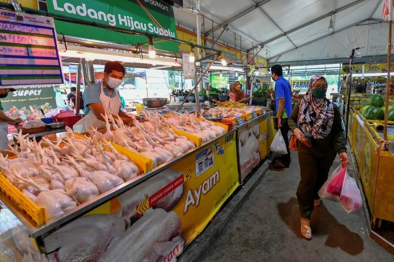 It was further pointed out that two months ago, Putrajaya agreed to allow private companies to import up to 10,000 metric tonnes of frozen chicken, which further intensified the shortage seen today. – Bernama pic, February 6, 2022