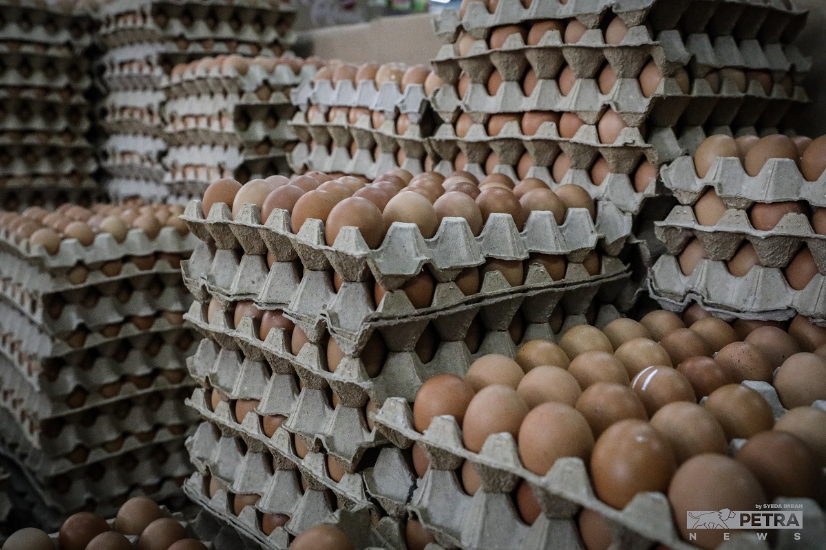 Chicken eggs are priced at 43 sen each for Grade A, 41 sen each for Grade B, and 39 sen each for Grade C. The ceiling price in Langkawi, Sabah, Sarawak and Labuan varies by district. – SYEDA IMRAN/The Vibes pic, June 23, 2022
