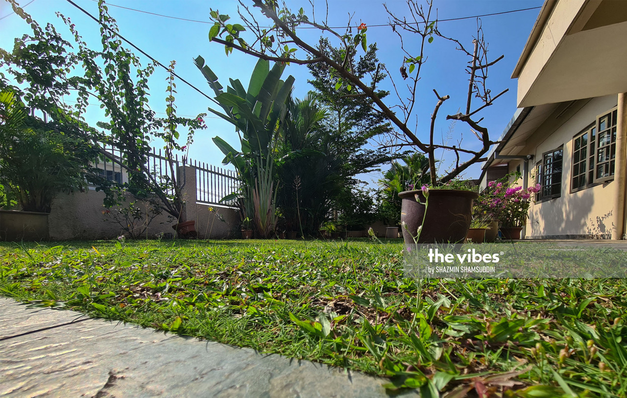 Although still green, this garden is no longer home to any wayward snail. – The Vibes pic, November 1, 2020