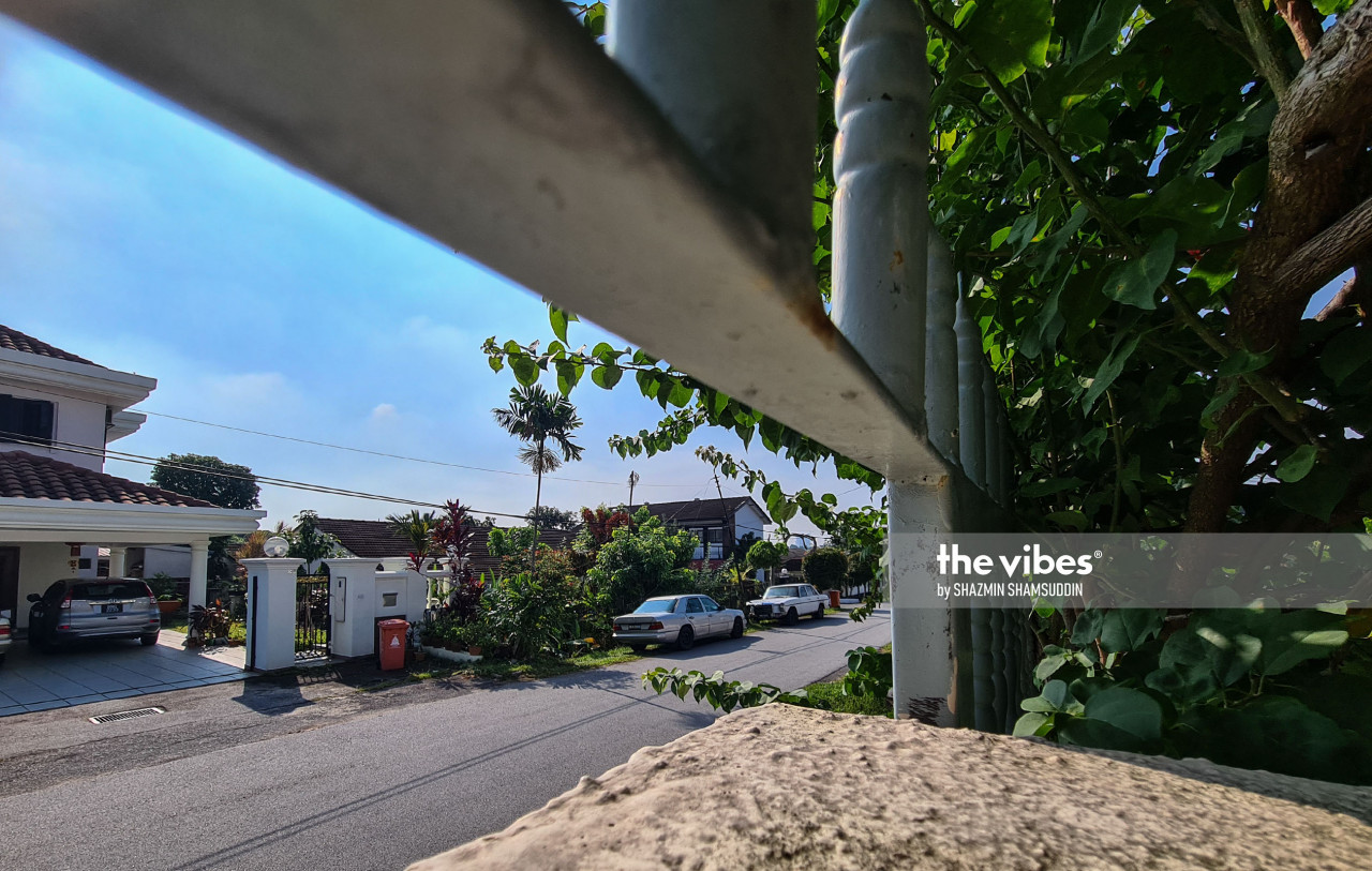 Looking out from the garden gate. – The Vibes pic, November 1, 2020