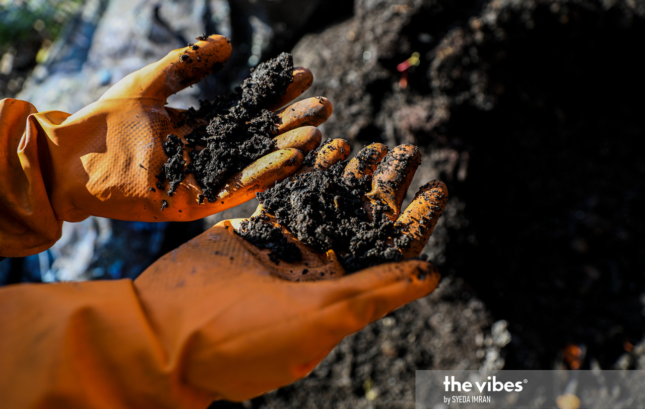 Without the aid of machine processing it takes about five to six months before an organic compost is ready to be used as organic fertilizer. — The Vibes pic