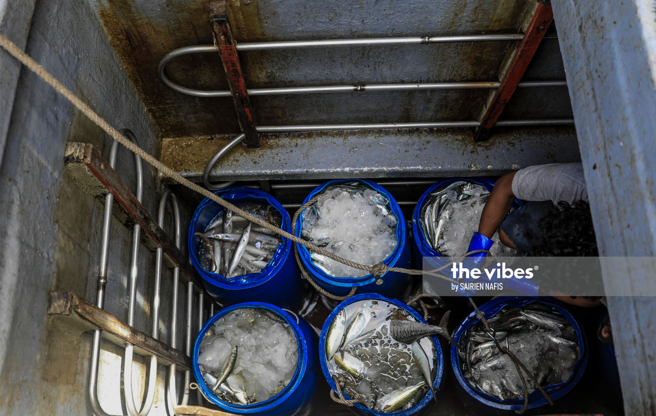 Fresh fish at the Jesselton Free Point Terminal. - The Vibes pic, Oct. 1, 2020