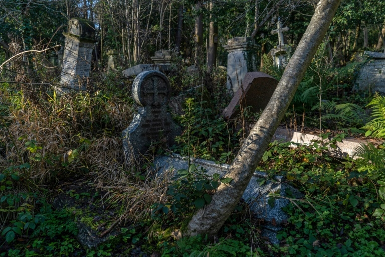 Nature is trying to take the cemetery back, says chief gardener Frank Cano. – ETX Studio pic, December 11, 2020