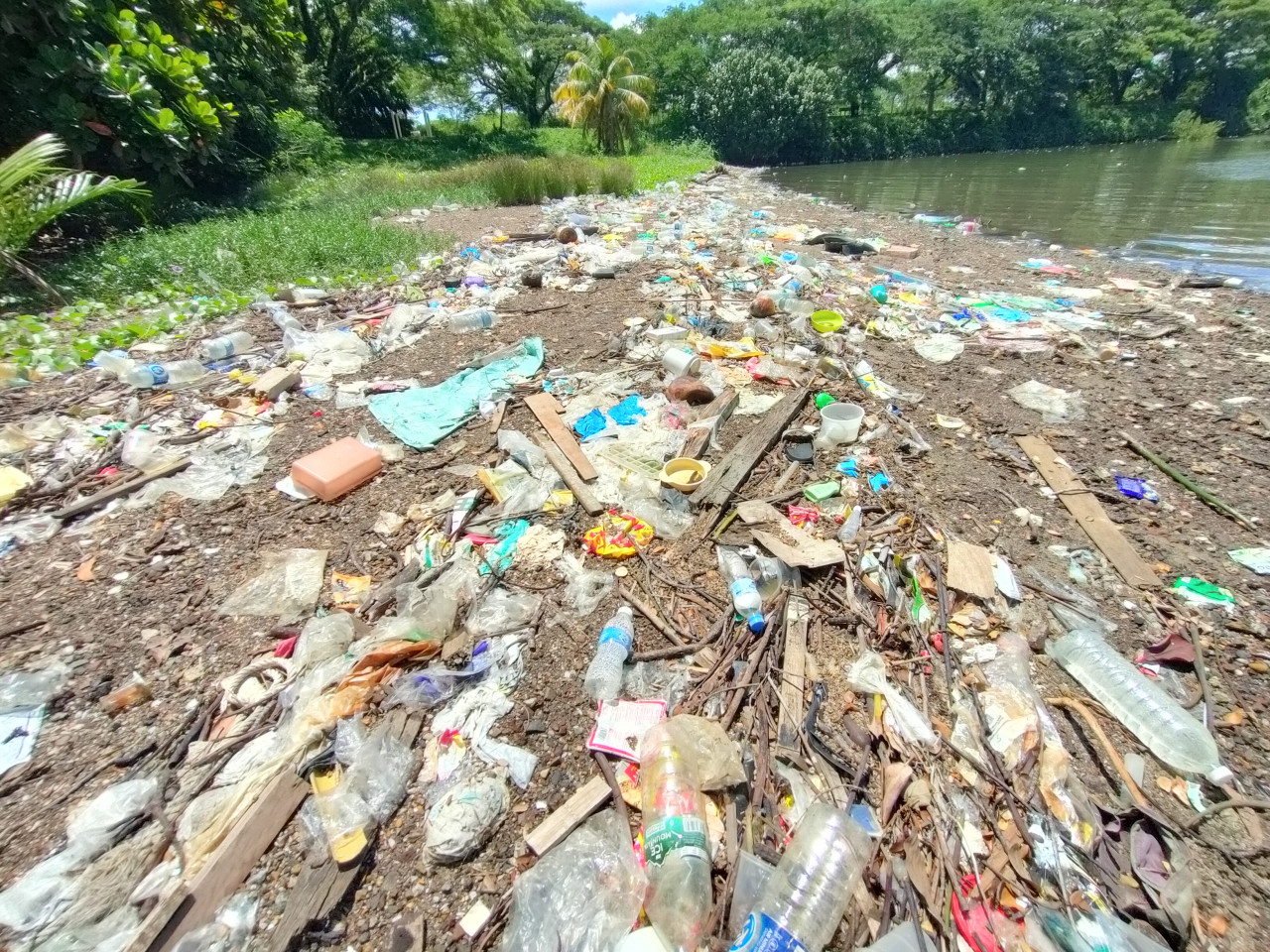 Instead of being full of visitors, the Batu Sapi Heritage Park waterfront is now bereft of human life, with nearly every inch of its beach littered with garbage. – REBECCA CHONG/The Vibes pic, May 10, 2022