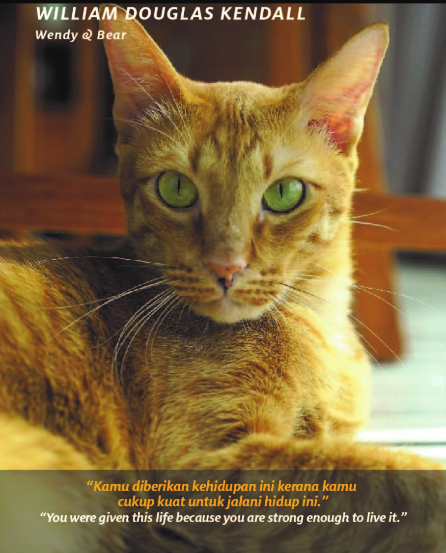 A page from the calendar-book compilation. – Pic courtesy of Independent Pet Adoption Network