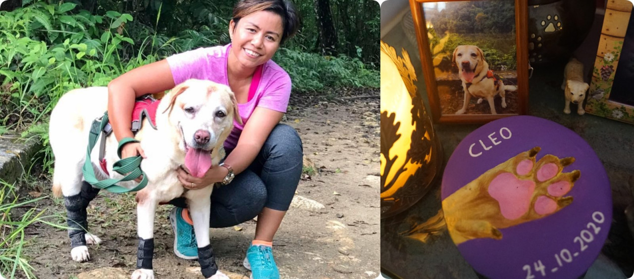 Natasha and Cleo hiking. [Left pic] Keepsakes of Cleo. – Pic courtesy of Natasha