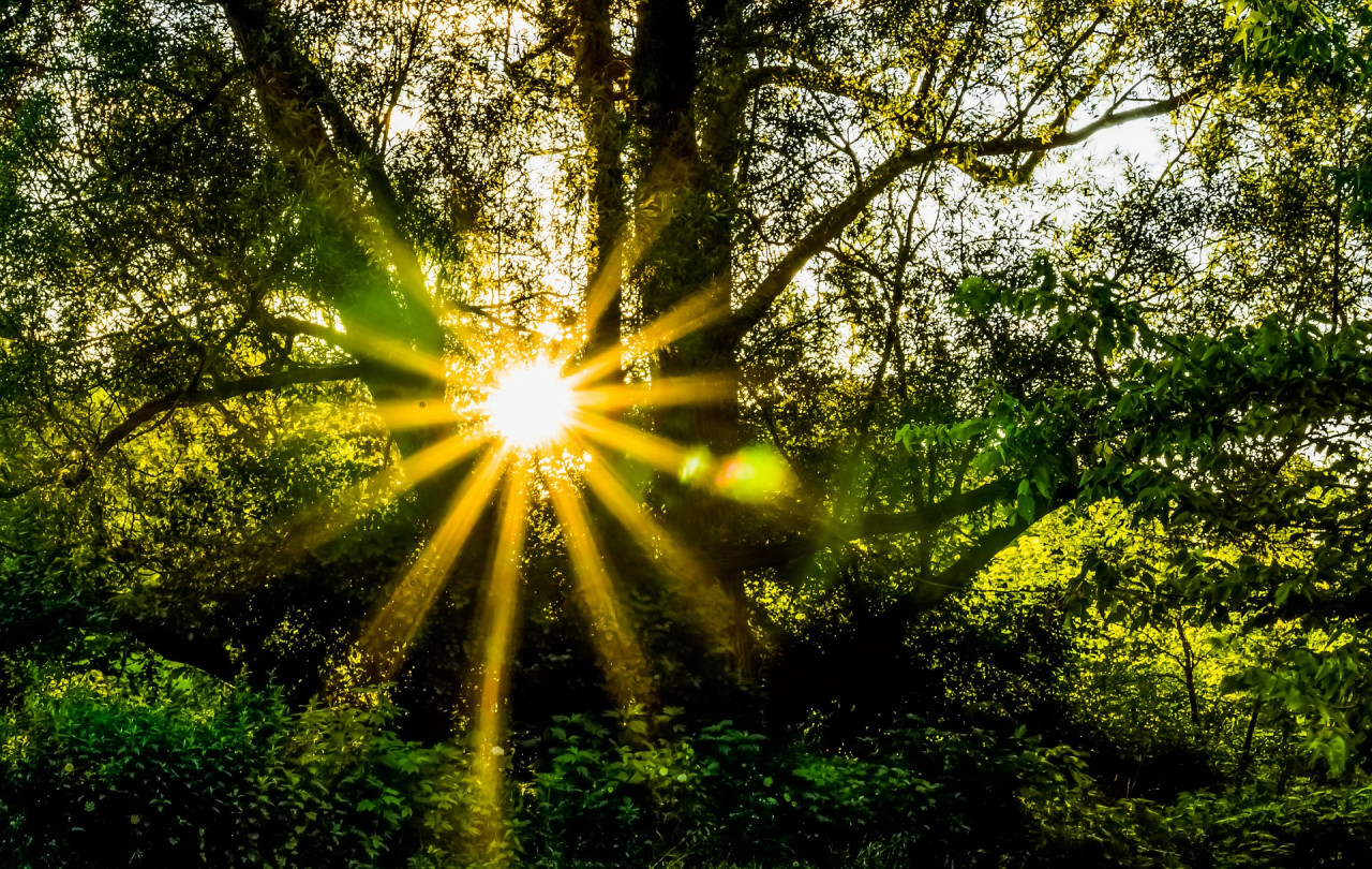 A new dawn. – Pixabay pic