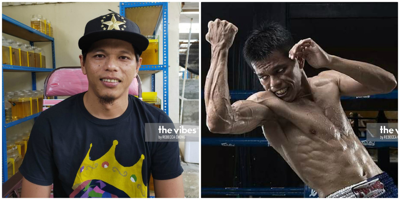 Betta fish breeder Erwandy Kalai was winner of Elopura Fights International Muay Thai Championship in 2018. – The Vibes pic