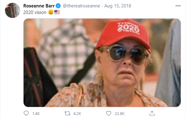 Roseanne Barr not holding back. – Twitter pic, November 2, 2020