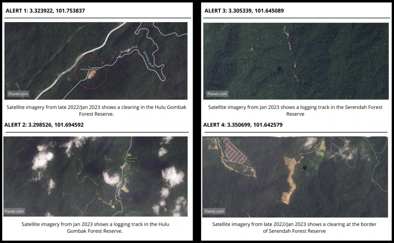Rimba Disclosure Project, an environmental watchdog group, has expressed concern that land located in Selangor forest reserves is getting cleared to possibly make way for the 665-km-long East Coast Rail Link project. They group points to data based on satellite images dated from end-2022 to January this year, which show deforestation in the Hulu Gombak and Serendah forest reserves. – Pic courtesy of Rimba Disclosure Project, February 2, 2023