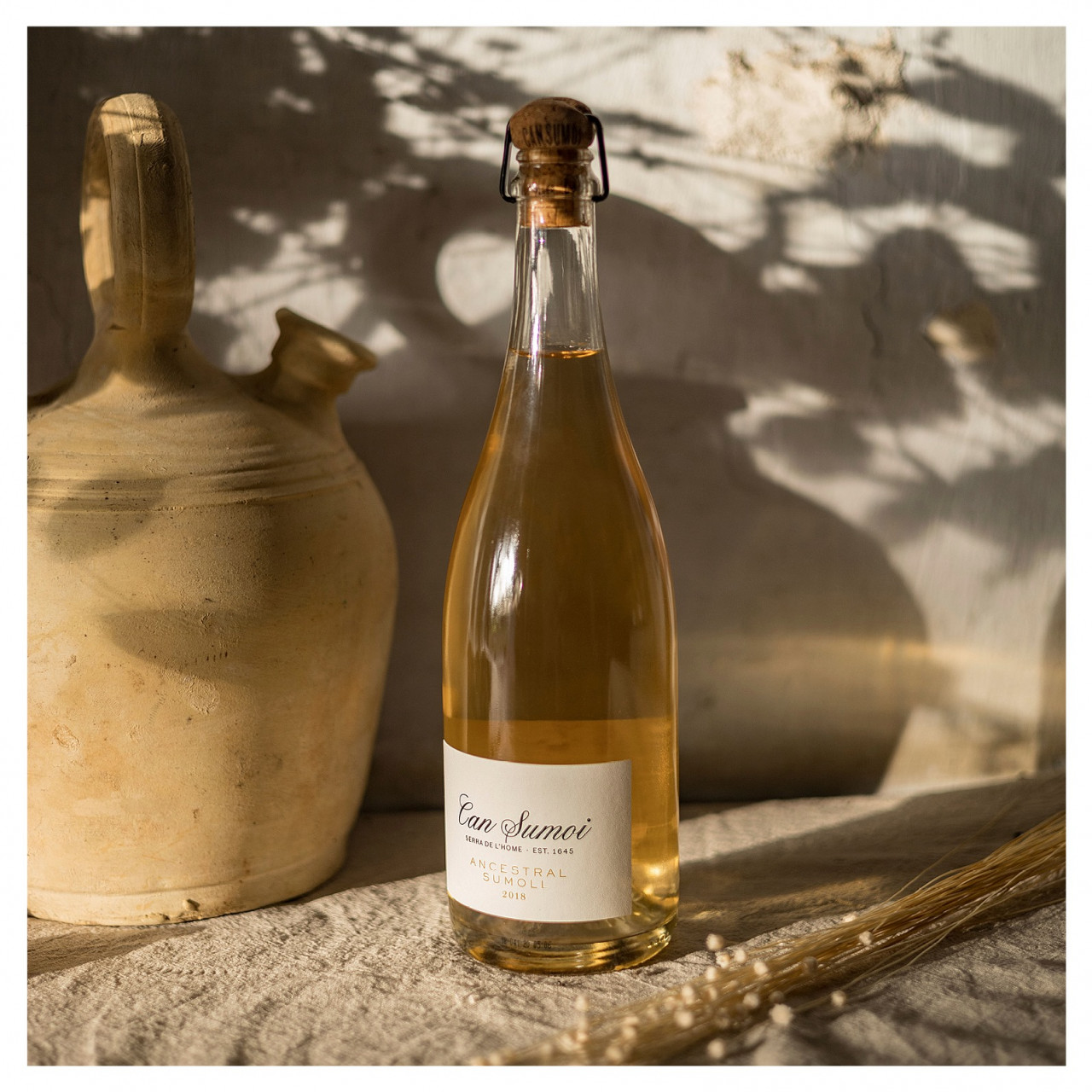 Can Sumoi ‘Ancestral Sumoll’ 2018, (Penedes, Spain) – Can Sumoi Facebook pic