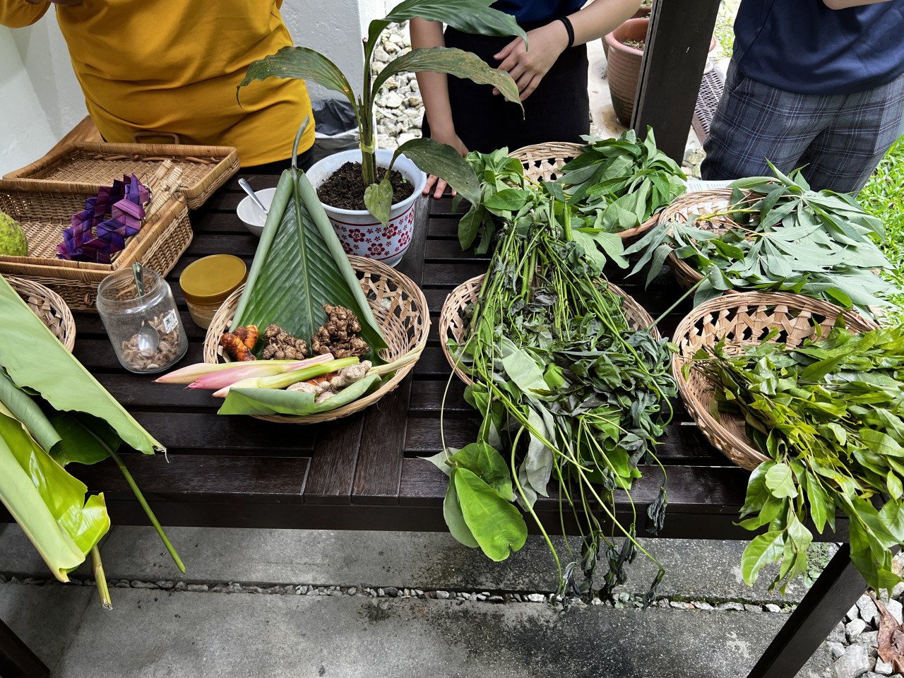 A selection of unique ingredients that gives Orang Asli food (from the Temuan tribe) its character. They include Pucuk getah (rubber shoots), biji getah (rubber nuts), cekur (wild ginger), bunga kantan, breadfruit. – Haikal Fernandez pic