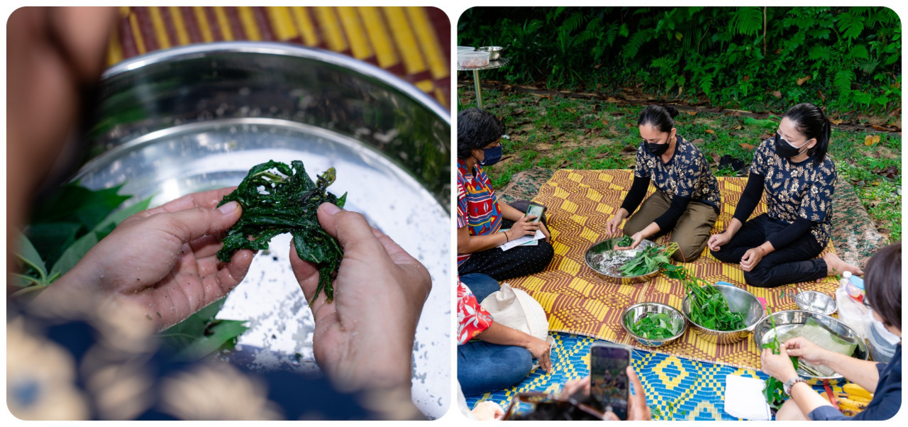 Orang Asli cooks demonstrate stripping rubber leaves from the shoots and how to clean them of any poisonous liquids they may contain. – Haikal Fernandez pic