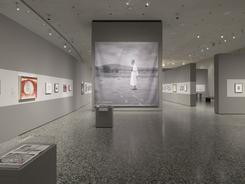 Georgia O’Keeffe’s photographs go on show in Houston