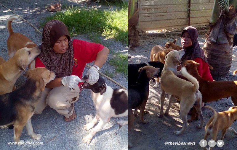 Happy ending for strays in Muslim-run animal shelter