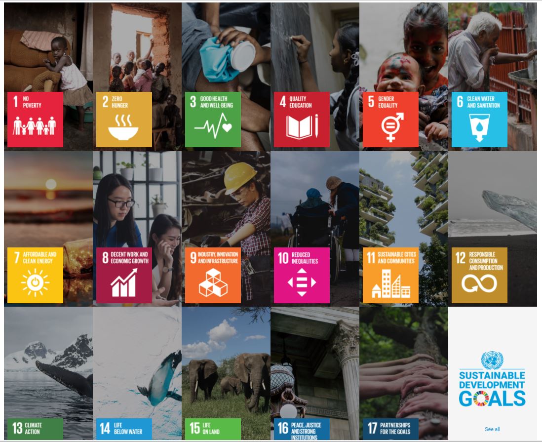 Team SwiftBeacon achieved three targets of the United Nations 17 Sustainable Development Goals (SDGs). – APU pic