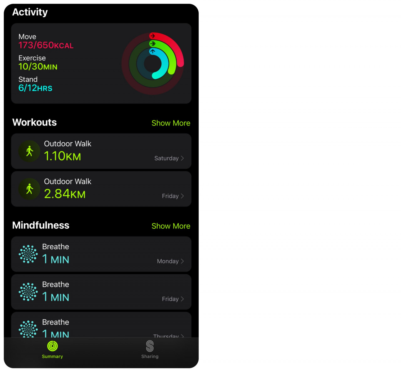 The Fitness app visualises your workout (or non-workout) routine in a way that motivates you to improve your performance. – Haikal Fernandez pic