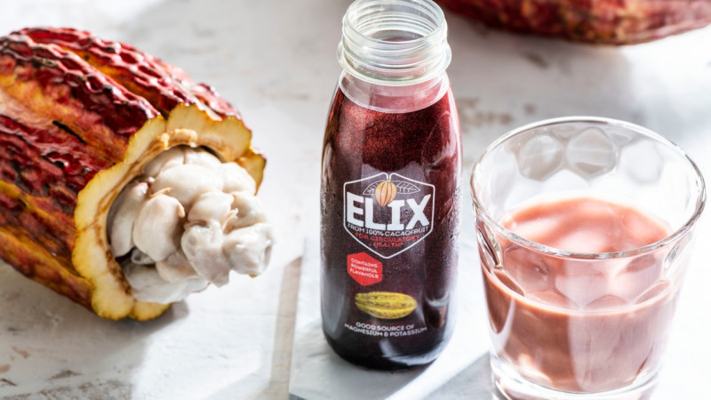 Juice from cacao fruit may be the hot new health drink
