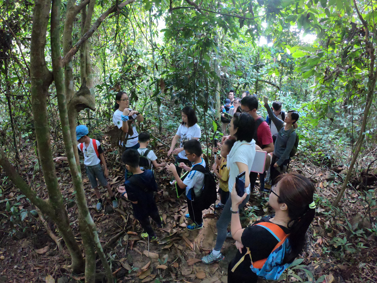 Yap stated that people are replacing the natural environment with an anthropogenic one by encroaching on wildlife habitats. – Pic courtesy of Langur Penang Project