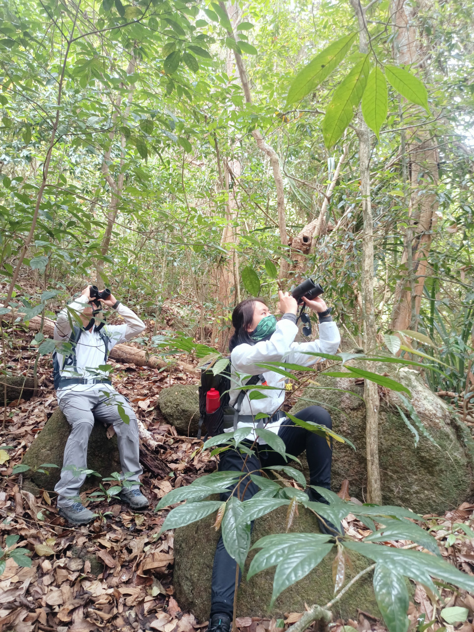Yap and a colleague conducting fieldwork as part of her research. – Langur Penang Project