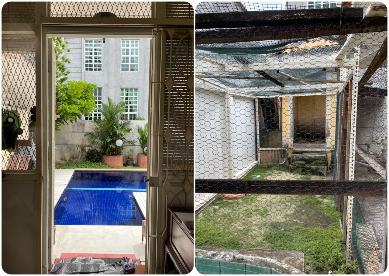 Cement block for fish now turned swimming pool (left) and outdoor toilet turned into a duck pen. – Rachel Yeoh pic