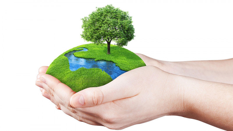 Five TikTok creators making a difference this World Earth Day