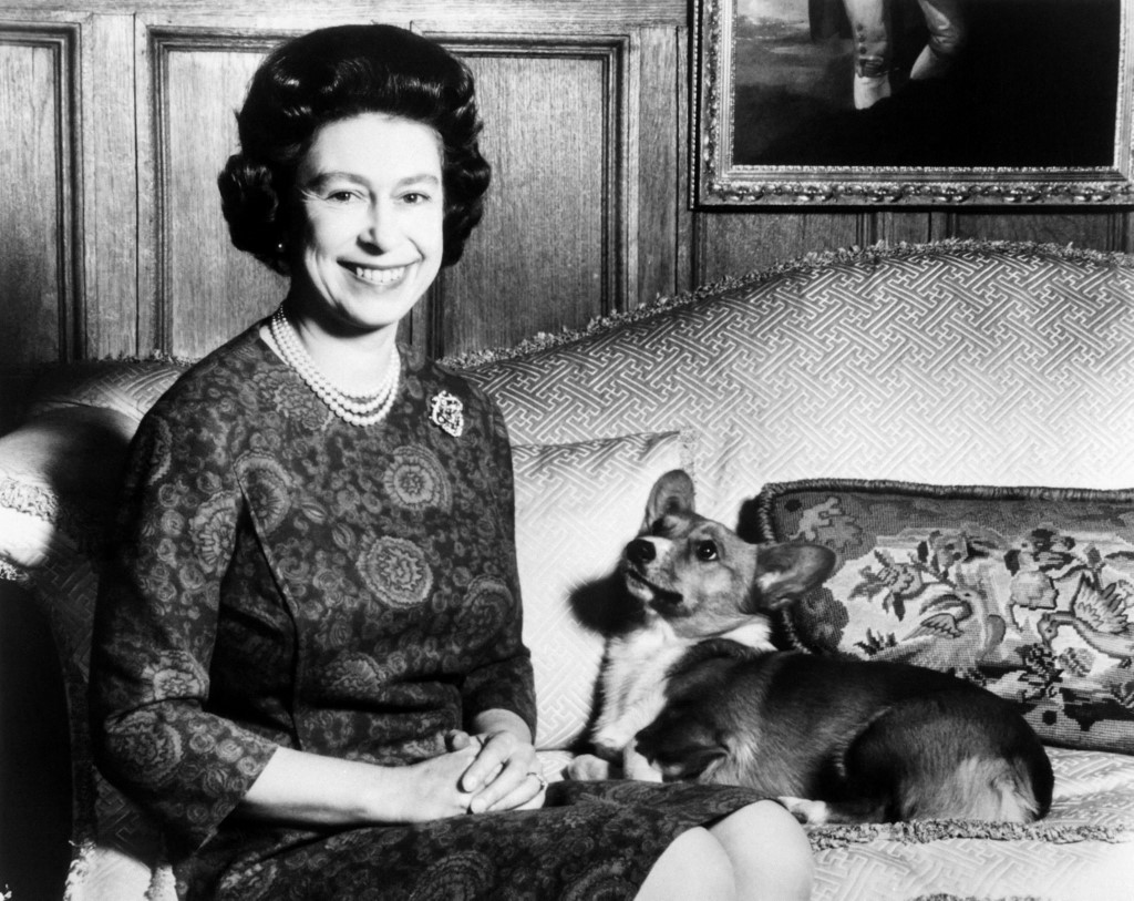 Queen Elizabeth II with her Corgi dog on February 26, 1970. – AFP file pic