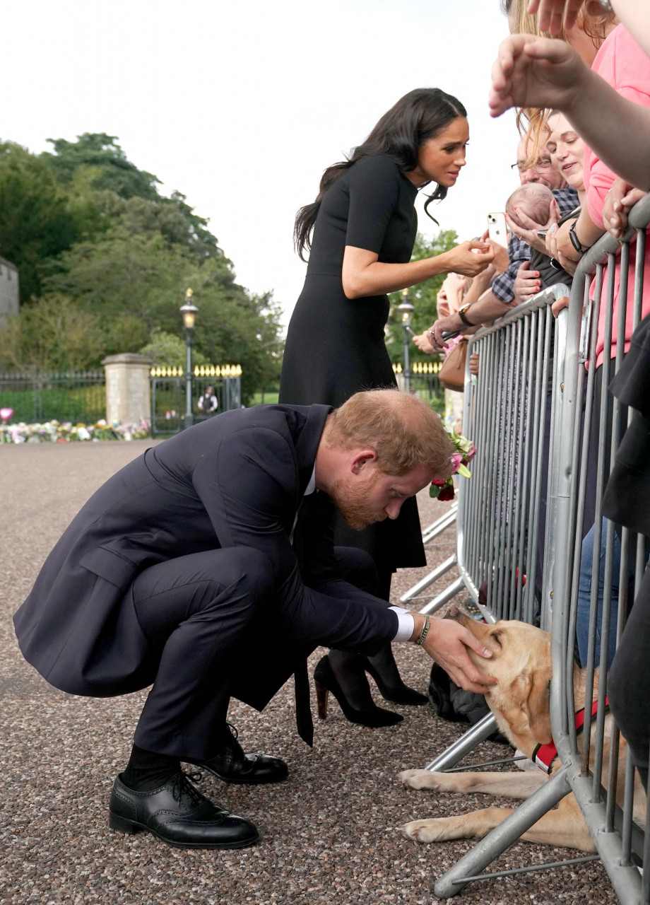 Britain's Prince Harry, Duke of Sussex, (left) pets a dog as his wife Meghan, Duchess of Sussex, looks at a baby on the Long Walk at Windsor Castle on September 10, 2022 as they meet with well-wishers. – AFP pic