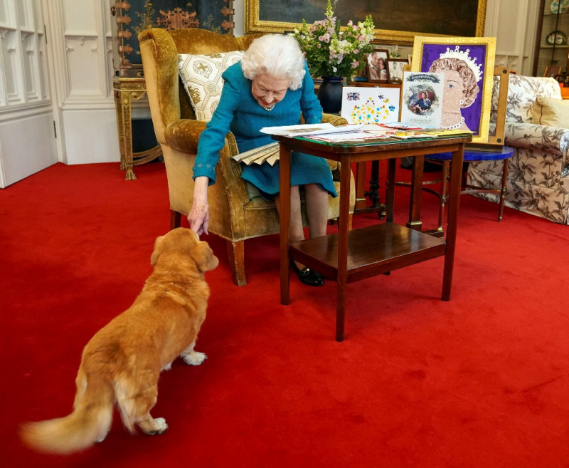 Queen Elizabeth’s beloved corgis to be rehomed with Andrew, Beatrice 